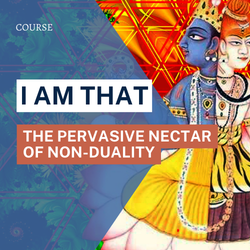 I Am That: The Pervasive Nectar of Non-Duality