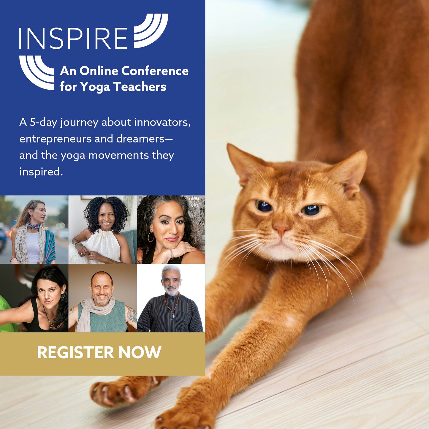 INSPIRE: An Online Conference for Yoga Teachers (On Demand)