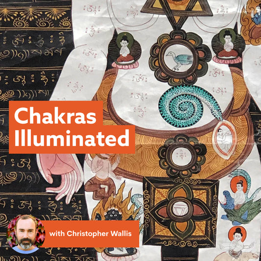 Chakras Illuminated: The Original Function of the Chakra Systems of Tantrik Yoga